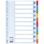 PREGRADA KARTONSKA A4 KOLOR 10LISTOVA ESSELTE 100193