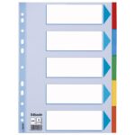 PREGRADA KARTONSKA A4 KOLOR  5LISTOVA ESSELTE 100191