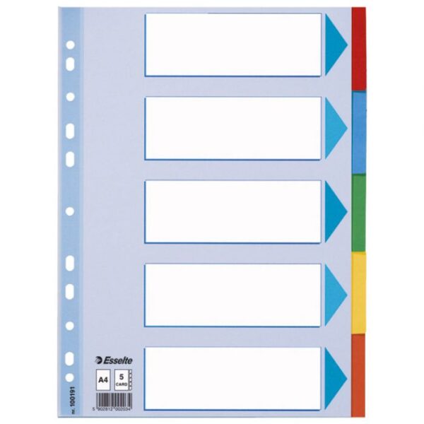 PREGRADA KARTONSKA A4 KOLOR  5LISTOVA ESSELTE 100191