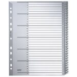 PREGRADA PLASTIČNA A4 BROJEVI 1-31 LEITZ 12810000 SIVA