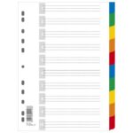 PREGRADA PLASTIČNA A4 KOLOR 10LISTOVA DONAU 7710095PL-99