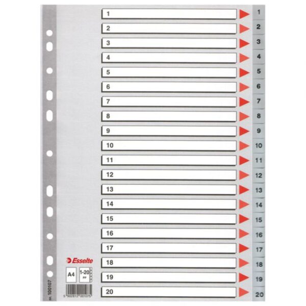 PREGRADA PLASTIČNA A4 BROJEVI 1-20 ESSELTE 100107 SIVA