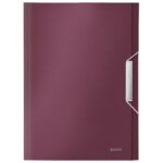 MAPA ZA KUĆNI BUDŽET  6 PREGRADA S GUMICOM PP STYLE LEITZ 39570028 BORDO