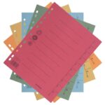 PREGRADA KARTONSKA A4 250G PK100 DONAU 8610001S-99 SORTIRANO - Image 2