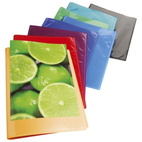 MAPA ULOŽNA VARENA A4 S  20 FASCIKLI &QUOT;U&QUOT; I DŽEPOM PP KREACOVER EXACOMPTA 5720E SORTIRANO