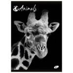 TEKA MEKI UVEZ A4 CRTE 40 PLUS 2L 80G ANIMAL ELISA SORTIRANI MOTIVI