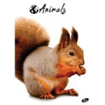 TEKA MEKI UVEZ A4 CRTE 40 PLUS 2L 80G ANIMAL ELISA SORTIRANI MOTIVI - Image 5