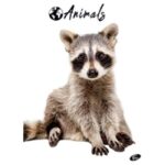 TEKA MEKI UVEZ A4 CRTE 40 PLUS 2L 80G ANIMAL ELISA SORTIRANI MOTIVI - Image 6