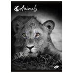 TEKA MEKI UVEZ A4 CRTE 40 PLUS 2L 80G ANIMAL ELISA SORTIRANI MOTIVI - Image 9