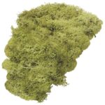 MAHOVINA ISLANDSKA UMJETNA 50G KNORR PRANDELL 21-6694420 SVIJETLOZELENA BLISTER