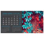 ETIKETE ZA KUĆANSTVO 32X24 MM 5L FREEZE HERLITZ 837039 (300010210) - Image 14