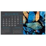 ETIKETE ZA KUĆANSTVO 32X24 MM 5L FREEZE HERLITZ 837039 (300010210) - Image 24