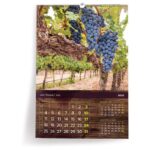 GLINAMOL 0,5KG FIMO AIR BASIC STAEDTLER 8100-76 TERRACOTTA - Image 11