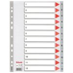 PREGRADA PLASTIČNA A4 BROJEVI 1-12 ESSELTE 100106 SIVA