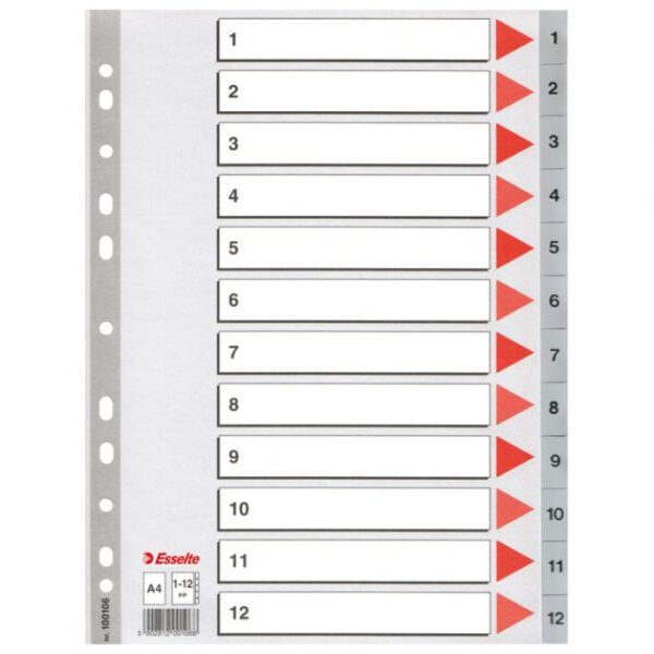 PREGRADA PLASTIČNA A4 BROJEVI 1-12 ESSELTE 100106 SIVA