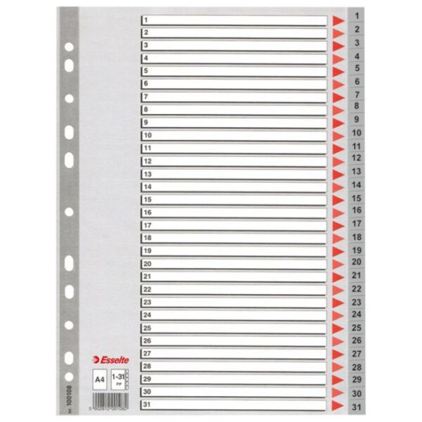 PREGRADA PLASTIČNA A4 BROJEVI 1-31 ESSELTE 100108 SIVA