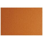 PAPIR U BOJI B1 200G BRISTOL COLORE PK10 CONNECT 49 HAVANA