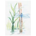 BOJE DRVENE-VODENE  24BOJE AQUARELL DESIGN JOURNEY STAEDTLER 14610C C24 BLISTER - Image 3