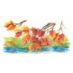 BOJE ULJNE 36BOJA KARTON DESIGN JOURNEY STAEDTLER 2420 C36 BLISTER * DO ISTEKA ZALIHA - Image 4