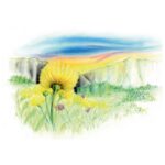 PASTELA SUHA 24BOJA DESIGN JOURNEY STAEDTLER 2430 C24 BLISTER - Image 4