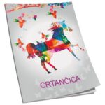 OBRAZAC ŠKOLSKI CRTANČICA ZA 1RAZRED SOFT PLUS  CONNECT GIRL - Image 6