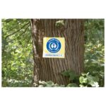 BLOK SAMOLJEPLJIV  75X75 MM 12X100L NATURE GLOBAL NOTES 5654-11BOX ŽUTI - Image 3