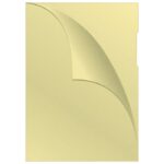 FASCIKL &QUOT;L&QUOT; 120MY PP A4 MAT PK100 Q-CONNECT KF00308 ŽUTI