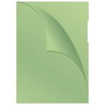 FASCIKL &QUOT;L&QUOT; 120MY PP A4 MAT PK100 Q-CONNECT KF00309 ZELENI