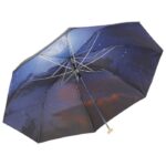 KIŠOBRAN AUTOMATIK SKLOPIVI S DRVENOM DRŠKOM CLEAR-NIGHT * DO ISTEKA ZALIHA - Image 3