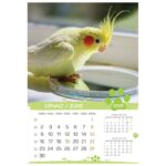 KALENDAR &QUOT;KUĆNI LJUBIMCI 2026&QUOT; 13 LISTOVA, SPIRALA - Image 10