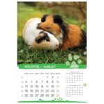 KALENDAR &QUOT;KUĆNI LJUBIMCI 2026&QUOT; 13 LISTOVA, SPIRALA - Image 12