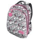 RUKSAK ŠKOLSKI ANATOMSKI LAGAN XT CAT CONNECT * DO ISTEKA ZALIHA