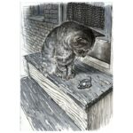 SET PITT ARTIST PK8  GRAY&AMP;BLACK FABER-CASTELL 167171 BLISTER - Image 2