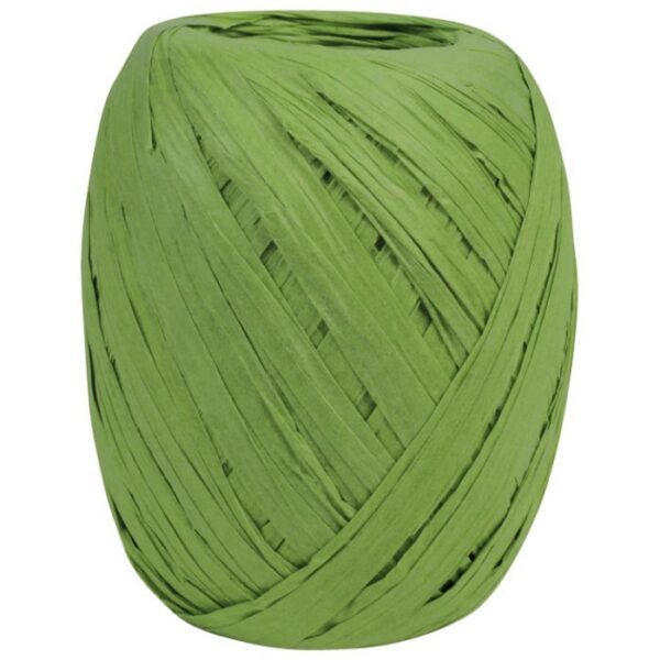 VRPCA UKRASNA 10 MMX30M RAFIJA PRASENT 437-630 SVIJETLOZELENA