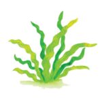 BOJE DRVENE-VODENE  36BOJE PLUS KIST PLUS ŠILJILO AQUARELL FABER CASTELL 114437 BLISTER - Image 6