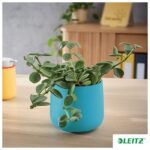 TEGLA KERAMIČKA ZA CVIJET COSY LEITZ 53310061 PLAVA * DO ISTEKA ZALIHA - Image 4