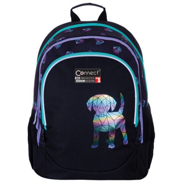 RUKSAK ŠKOLSKI ANATOMSKI BEST FRIEND 23.CONNECT  * DO ISTEKA ZALIHA