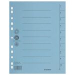 PREGRADA KARTONSKA A4 250G PK100 DONAU 8610001-10 PLAVA - Image 2