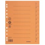 PREGRADA KARTONSKA A4 250G PK100 DONAU 8610001-12 NARANČASTA - Image 2