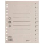 PREGRADA KARTONSKA A4 250G PK100 DONAU 8610001-25 KREM - Image 2