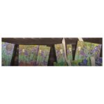 NOTES 13X18 CM-MIDI CRTE  72L S GUMICOM VAN GOGH IRISES PAPERBLANKS PB8204-0 - Image 2