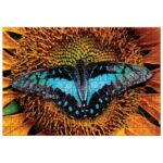 PUZZLE 250 KOM COLORFUL NATURE 2 BUTTERFLY INTERDRUK - Image 3