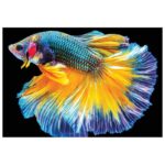 PUZZLE 250 KOM COLORFUL NATURE 6 FISH INTERDRUK - Image 4