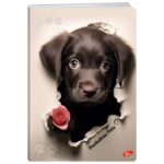 TEKA MEKI UVEZ A4 CRTE 40 PLUS 2L 80G PEEKABOO PETS ELISA - Image 2