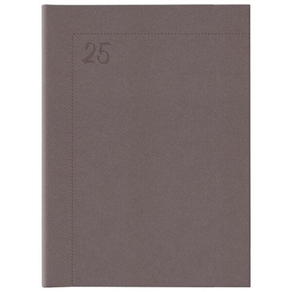 ROKOVNIK A4 NOLI E28 METALIC SMEĐI * DO ISTEKA ZALIHA