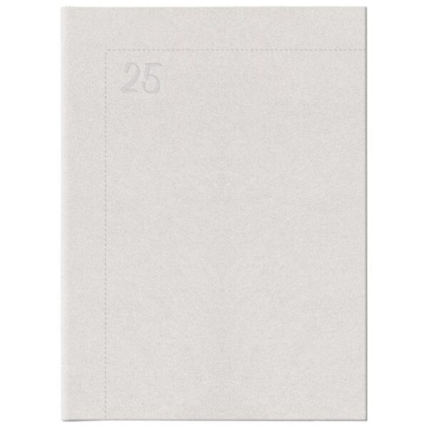 ROKOVNIK A4 NOLI E30 SREBRNI * DO ISTEKA ZALIHA