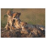 PUZZLE 1000 KOM ANIMAL PLANET CHEETAH DIAKAKIS 000570697 - Image 2