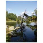 NOŽIĆ VIŠENAMJENSKI SKLOPIVI DŽEPNI HUNTER SCHWARZWOLF F2400700SA3 - Image 4