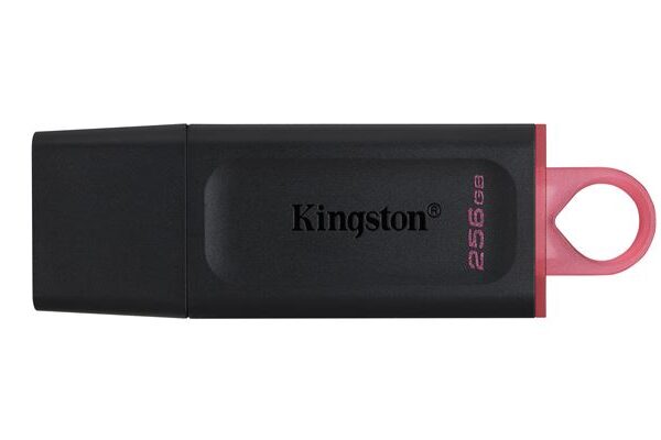 MEM UFD 256GB DTX KIN