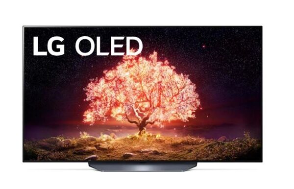 LG OLED TV OLED55B13LA